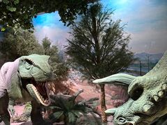 -国家自然博物馆