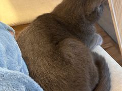 -春笙食堂.丼饭拉面寿司(GOGO新天地店)