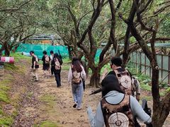 -老虎沟生态农场