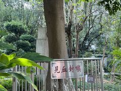 -广州神农草堂中医药博物馆