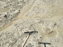 -北海金海湾红树林生态旅游区