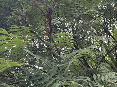 -北京石刻艺术博物馆(五塔寺)