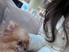 -怪兽屋·羊驼·猫咖·狗咖(俊华广场店)