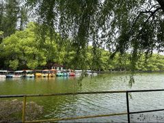 -菱湖风景区