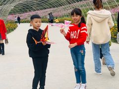 -秀丽东方