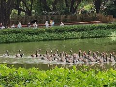 -广州长隆飞鸟乐园