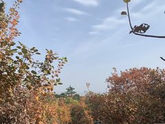 -北京西山国家森林公园