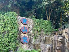 -千岛湖希尔顿休闲艇俱乐部