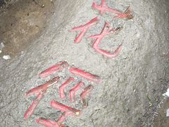 -庐山风景区花径公园