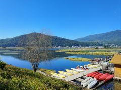 -腾冲北海湿地
