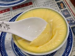双皮奶-捷信牛奶甜品世家(五道口店)