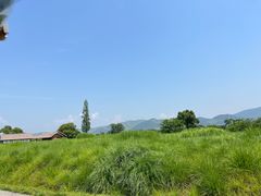 -良渚古城遗址公园