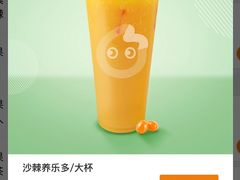 沙棘养乐多（大杯）-CoCo都可(新太阳宫店)