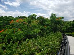 -云溪植物园