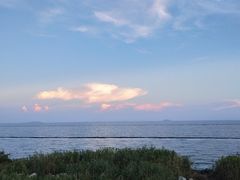 景点-合肥滨湖国家森林公园