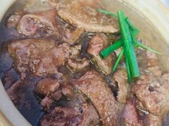 -正正文志记猪什汤