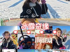 -北陵公园