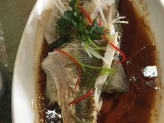 -好妈王饺子(滂江街店)