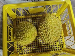 -双福水果批发市场