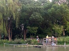 -昆山城市生态森林公园