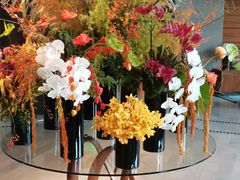 -浅深Cheersum(曹杨店)