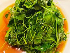 金花菜酒香-新聚丰菜馆(太监弄店)