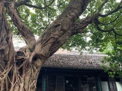 -白帝城·瞿塘峡景区