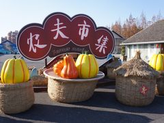 -云间粮仓