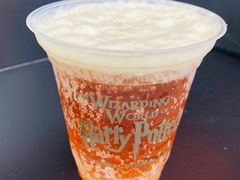 -哈利波特魔法世界