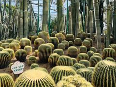 -南山植物园