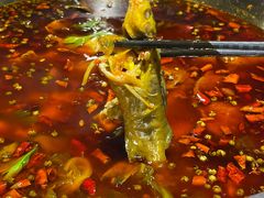 -王婆乔鲜鱼自助火锅(蜀汉路店)