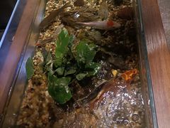 -新盈光·旗舰店(海曙苍松路店)