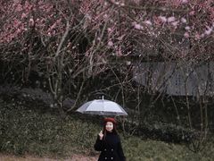 -重庆彩云湖湿地公园