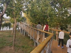-东郊湿地公园