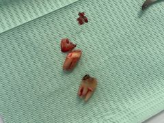 -牙博士口腔品牌连锁(杨浦店)