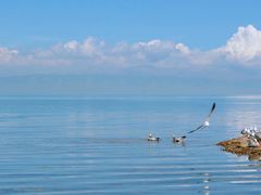 -青海湖国家重点风景名胜区