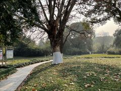 -堤角公园