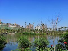 -枫香湖儿童公园