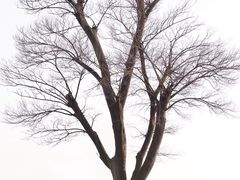 -滆湖低碳生态公园