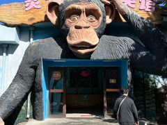 -西安秦岭野生动物园