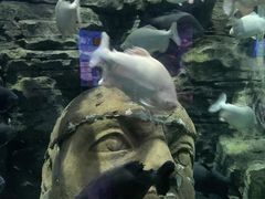 -成都浩海立方海洋公园