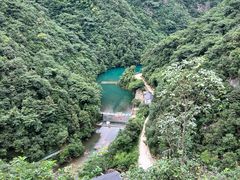 -四明山国家森林公园