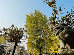 -北京石刻艺术博物馆(五塔寺)