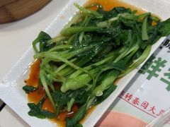 -苏晓玥·手作江南小吃(深圳北站店)