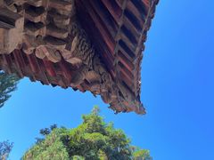 -张掖大佛寺景区