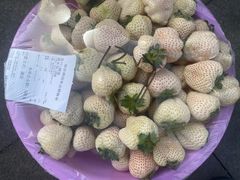 -南京众彩农副产品配送有限公司