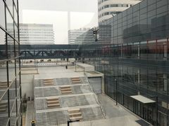 -首都医科大学附属北京天坛医院