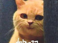 -周素珍湖州大馄饨(直戒坛寺巷店)