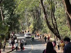 -南国桃园旅游度假区