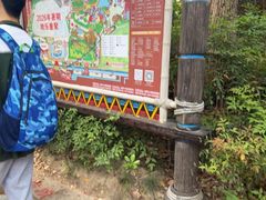 -杭州乐园
